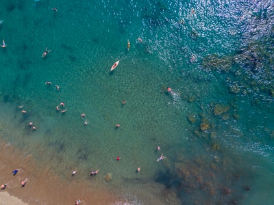 人们在海洋中游泳的鸟瞰照片